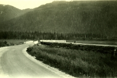 129-3856, 1931