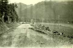 132-3788, 1931