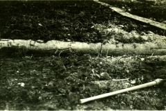 134-3858, 1931