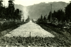 138-3860, 1931